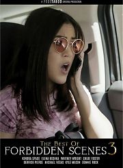 Лучшее из Запретных Сцен 3