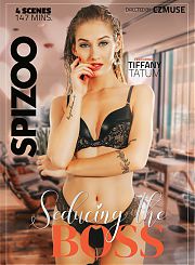 Соблазнение Босса