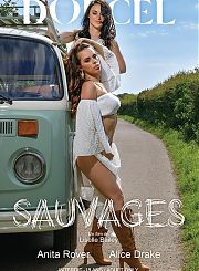 Дикое путешествие